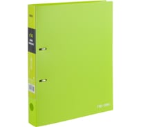 Папка на 2-х кольцах DELI e38130 rio, А4, ассорти 1593883