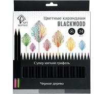 Набор цветных карандашей АРТформат Blackwood 24 цв. трехгран. корп. дерев. карт.уп. AF03-051-24