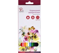 Набор акварельных карандашей АРТформат 12 цв. трехгранный корп. дерев. карт.уп. AF03-041-12
