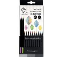 Набор цветных карандашей АРТформат Blackwood 12 цв. кругл. корп. дерев. карт.уп. AF03-051-12