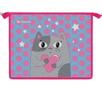 Папка для тетрадей Schoolformat 1 отделение А5 AMORE CAT 235x190x50 молния, картон, полиэстер, голубой, для девочек ПТКМ1А5-АМК