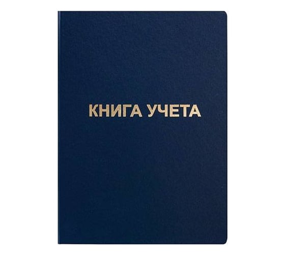 Книга учета INFORMAT 192 л., клетка, офсет, А4 б/винил, вертикальная, синий KYA4-BV192K