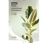 Рамка Attache клип, 15x20 1603602