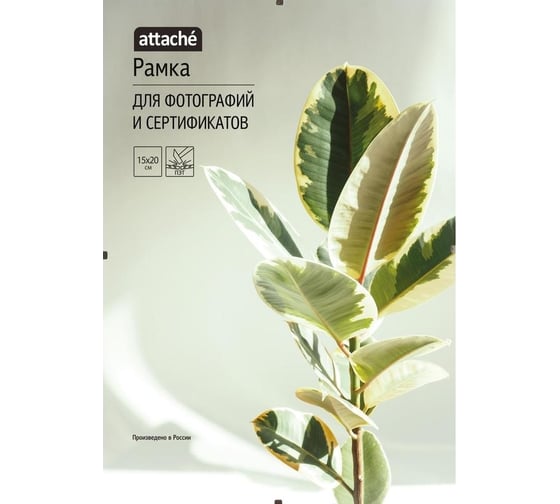 Рамка Attache клип, 15x20 1603602 1