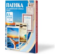 Пленка Office Kit 303x426, 175 мкм, 100 шт. PLP11530-1