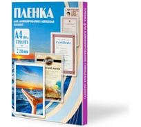 Пленка Office Kit 216x303, 250 мкм, 100 шт. PLP12123-1
