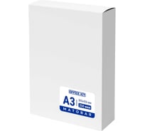 Пленка Office Kit 303x426, 250 мкм, 100 шт., матовая PLP303*426/250 m