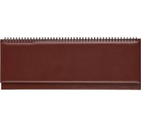 Датированный планинг Attache КАНЬОН 2023, коричневый, 405x145 мм, 55 листов 1566796