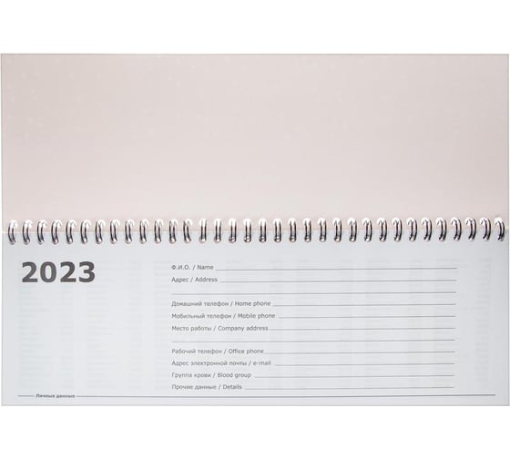 Датированный планинг Attache Economy Flakes pink 2023, 75/60 1566830