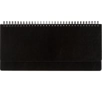 Датированный планинг Attache Agenda 2023, черный, 303x150 мм, 120 страниц 1563261