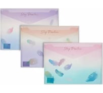 Папка-конверт Attache Selection Перья на кнопке A4 полипропилен 3 шт в упаковке 1378376