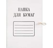 Папка ООО Комус с завязками 280 г/м2 мелованная 10 шт 874873