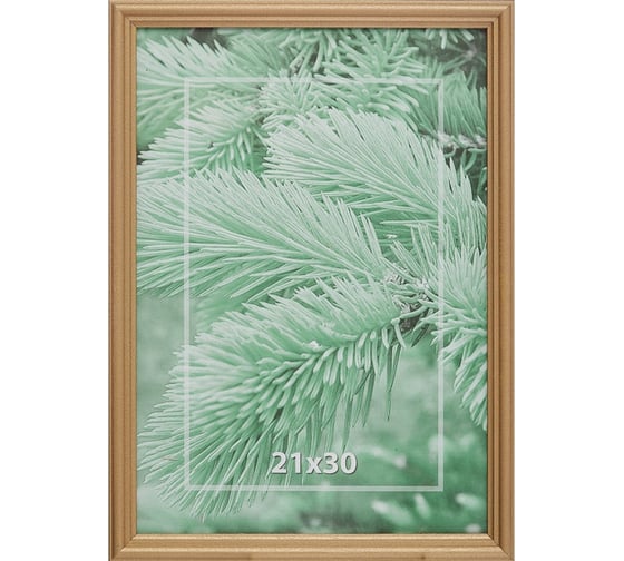 Деревянная рамка ООО Комус 21x30 см профиль №1 цвет золото 849889