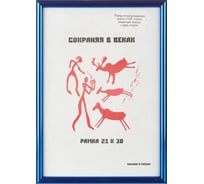 Пластиковая рамка ООО Комус 21x30 см A4 синий металлик с пластиком 1008928