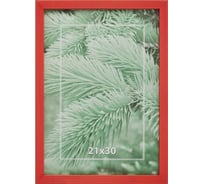 Деревянная рамка ООО Комус 21x30 см профиль №2 цвет красный 849885