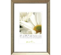 Пластиковая рамка ООО Комус elegant champagne 21x297 31434 841779