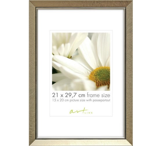 Пластиковая рамка ООО Комус elegant champagne 21x297 31434 841779 1