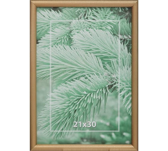 Деревянная рамка ООО Комус 21x30 см профиль №4 цвет золото 849891 1