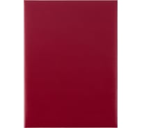 Адресная папка ООО Комус без тиснения бумвинил с поролоном 130288