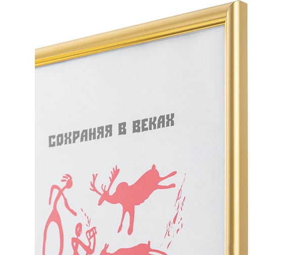 Пластиковая рамка ООО Комус 590 21x30 см A4 золото 1008942