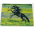 Коврик для мыши Pro Legend Мустанг Жеребец текстиль, 20x24 см PL5903 1