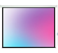 Экран с электроприводом Lumien LEC-100116 Eco Control 177x280 см, рабочая область 169x272 см, Matte White, черная кайма по периметру, 16:10 6 121571