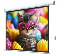 Экран с электроприводом Lumien LEC-100107 Eco Control 183x244 см, рабочая область 175x236 см, Matte White, черная кайма по периметру, 4:3 6 121562
