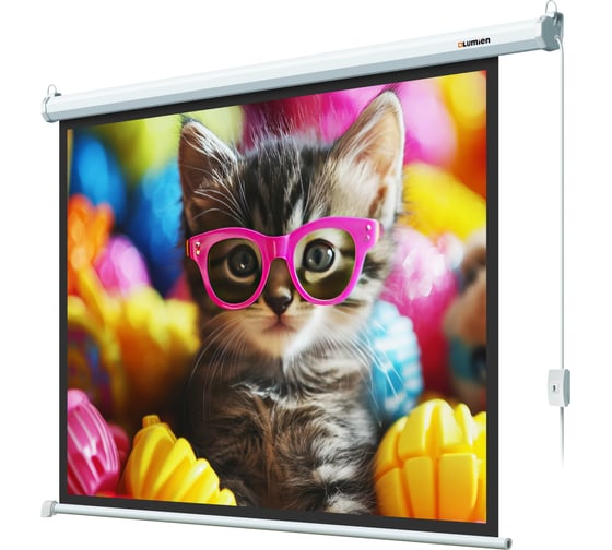 Экран с электроприводом Lumien LEC-100107 Eco Control 183x244 см, рабочая область 175x236 см, Matte White, черная кайма по периметру, 4:3 6 121562
