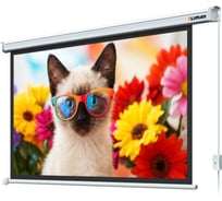 Экран с электроприводом Lumien LEC-100111 Eco Control 187x280 см, рабочая область 153x272 см, Matte White, верхняя кайма 17 см, черная кайма 6 121566