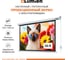Экран с электроприводом Lumien LEC-100111 Eco Control 187x280 см, рабочая область 153x272 см, Matte White, верхняя кайма 17 см, черная кайма 6 121566 2