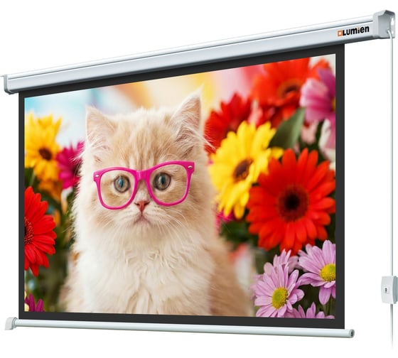 Экран с электроприводом Lumien LEC-100112 Eco Control 198x300 см, рабочая область 164x292 см, Matte White, верхняя кайма 17 см, черная кайма 6 121567