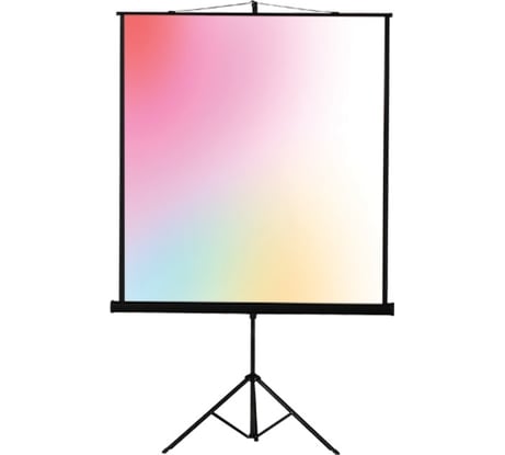 Экран на штативе Lumien LEV-100108 Eco View 203x203 см, рабочая область 195x195 см, Matte White, 1:1 6 121535