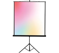 Экран на штативе Lumien LEV-100107 Eco View 180x180 см, рабочая область 174x174 см, Matte White, 1:1 6 121534