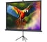 Экран на штативе Lumien LEV-100111 Eco View 153x203 см, рабочая область 147x197 см, Matte White, 4:3 6 121538 1