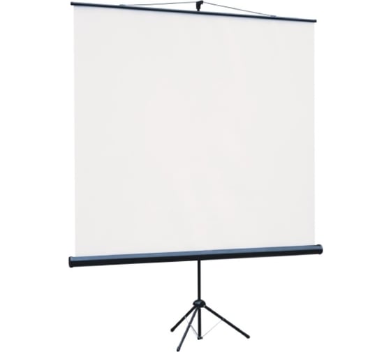Экран на штативе Lumien LEV-100110 Eco View 128x171 см, рабочая область 122x165 см, Matte White, 4:3 6 121537