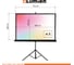 Экран на штативе Lumien LEV-100110 Eco View 128x171 см, рабочая область 122x165 см, Matte White, 4:3 6 121537 6