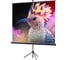 Экран на штатив Lumien LEV-100103е Eco View 200x200 см, Matte White, 1:1 6 49129 3