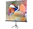 Экран на штативе Lumien LEV-100101 Eco View 150x150 см, Matte White, 1:1 6 49127 2