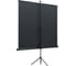 Экран на штативе Lumien LEV-100101 Eco View 150x150 см, Matte White, 1:1 6 49127 7