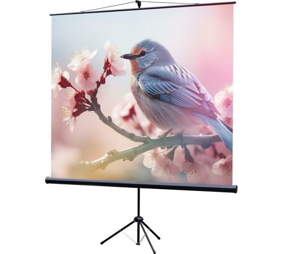 Экран на штативе Lumien LEV-100105 Eco View 160x160 см, Matte White, 1:1 6 54504