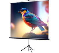Экран на штативе Lumien LEV-100102 Eco View 180x180 см, Matte White, 1:1 6 49128