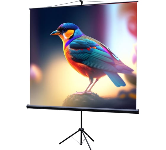 Экран на штативе Lumien LEV-100102 Eco View 180x180 см, Matte White, 1:1 6 49128 1