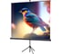 Экран на штативе Lumien LEV-100102 Eco View 180x180 см, Matte White, 1:1 6 49128 1