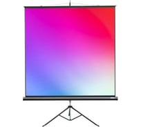 Экран на штативе Lumien LMV-100102 Master View 153x153 см, Matte White FiberGlass, черная кайма по периметру, устойчивый штатив, 1:1 6 49123