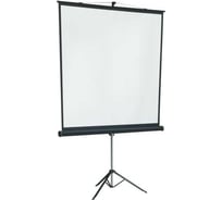 Экран на штативе Lumien LMV-100106 Master View 128x171 см, Matte White FiberGlass, черная кайма по периметру, устойчивый штатив, 4:3 6 49132