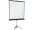 Экран на штативе Lumien LMV-100111 Master View 220x220 см, Matte White FiberGlass, черная кайма по периметру, устойчивый штатив, 1:1 6 54703 1