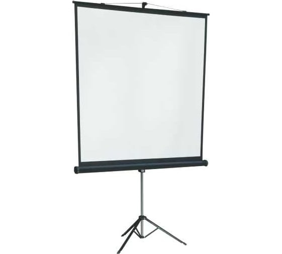 Экран на штативе Lumien LMV-100105 Master View 244x244 см, Matte White FiberGlass, черная кайма по периметру, устойчивый штатив, 1:1 6 49126 1