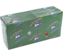 Салфетки ООО Комус Profi Pack 2 слоя, 33x33 см, зеленые, 200 шт. 617634
