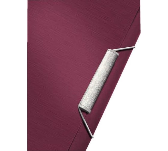 Папка для проектов Leitz style, красный гранат 39570028