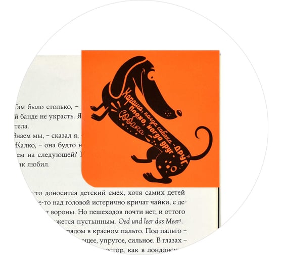 Магнитная закладка для книг Феникс + Такса 60x60 мм, полноцветный дизайн, глянцевая ламинация, угловая 50265